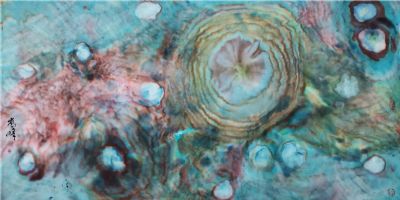 沈志斌 副主席 作品 6